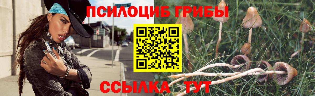 Псилоцибиновые грибы ЛСД  Вход с VPN  Свободный 