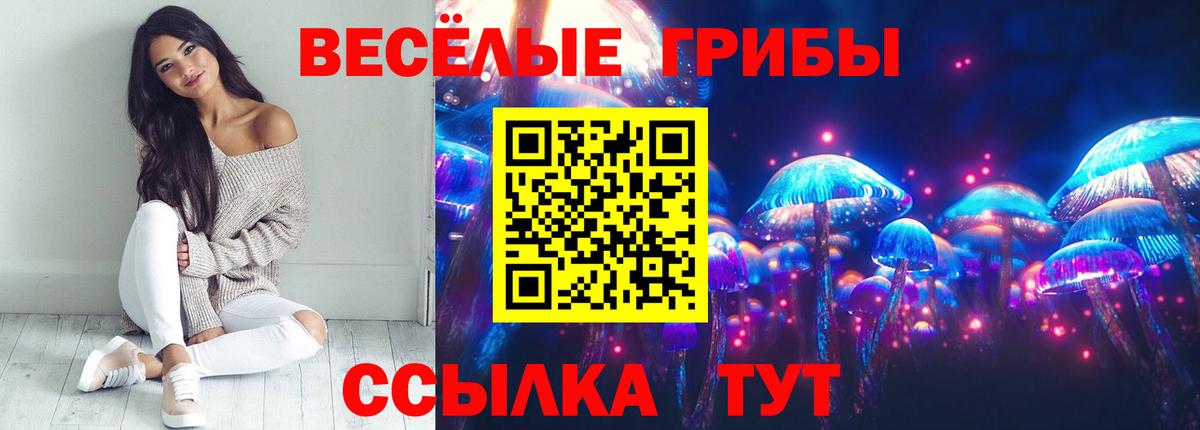 Псилоцибиновые грибы ЛСД Свободный